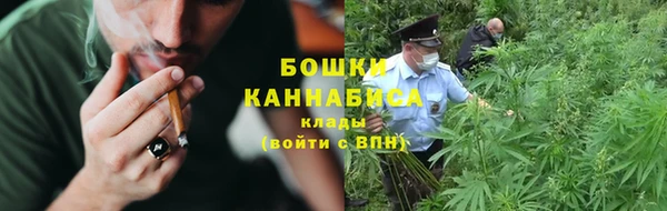 PSILOCYBIN Богданович
