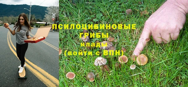 сатива Богородск