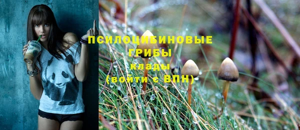 PSILOCYBIN Богданович