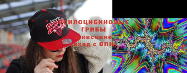 сатива Богородск