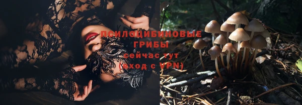 прущая мука Богородицк