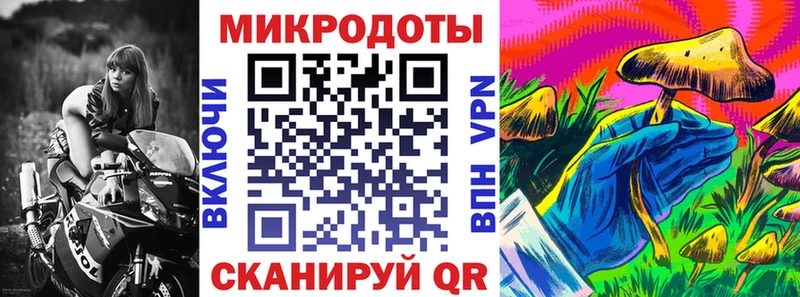 Галлюциногенные грибы Psilocybine cubensis Цоци-Юрт